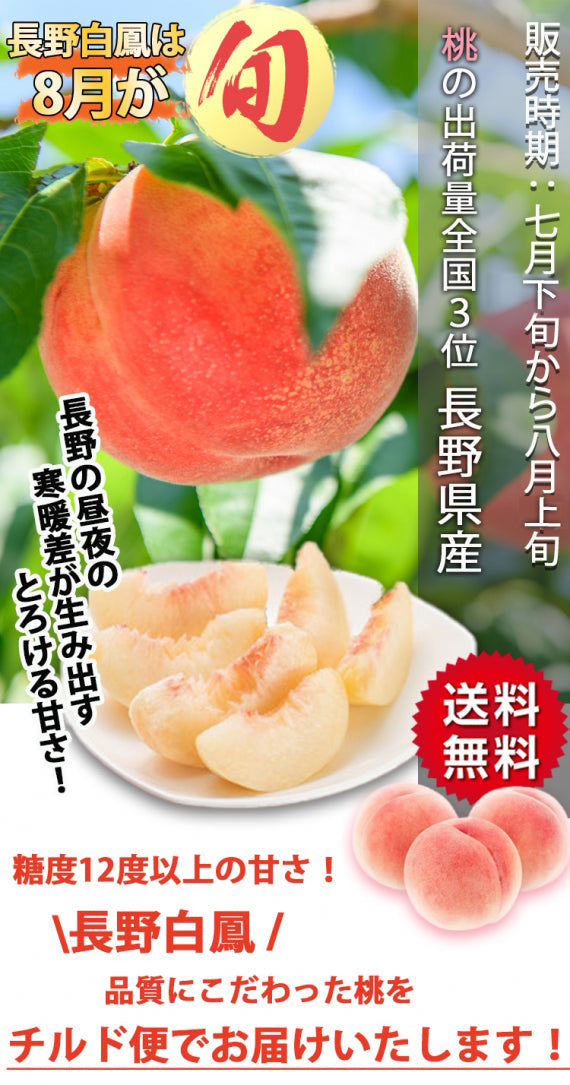 【売り切れ】【送料無料】長野県産白鳳(桃) ※８月上旬より順次発送※期日指定不可【お中元2025】【フルーツ】
