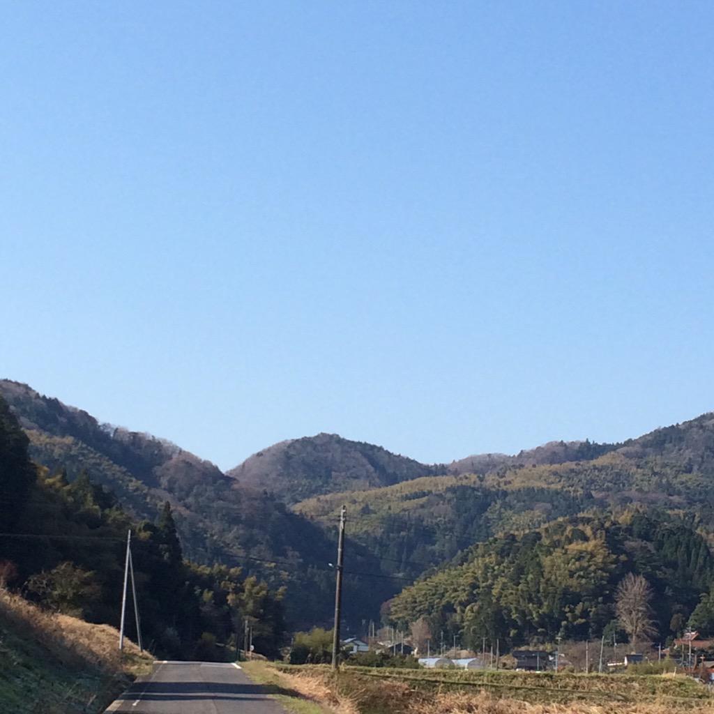 【松江市特産品】エコ栽培米コシヒカリ5㎏（7年産新米）【送料込み】