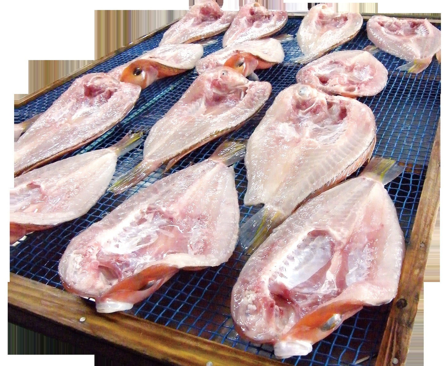 浜田産こだわりの甘鯛一夜干し　2尾入り【送料込み】（北海道・沖縄は８８０円（消費税込み）加算となります。）【グルメ・おつまみ】【鮮魚・魚介類】