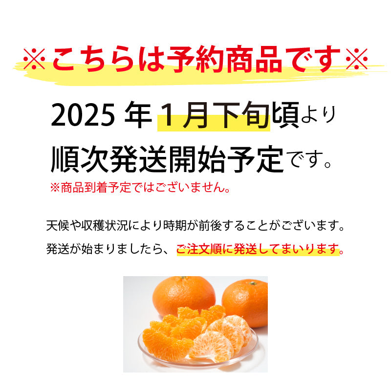 ※今季販売終了※【送料無料】高級ブランドかんきつ「甘平(かんぺい)」〈家庭用・優品 小箱〉約1.8kg（L～4L／約4～9玉）※発送は1月下旬～2月上旬予定