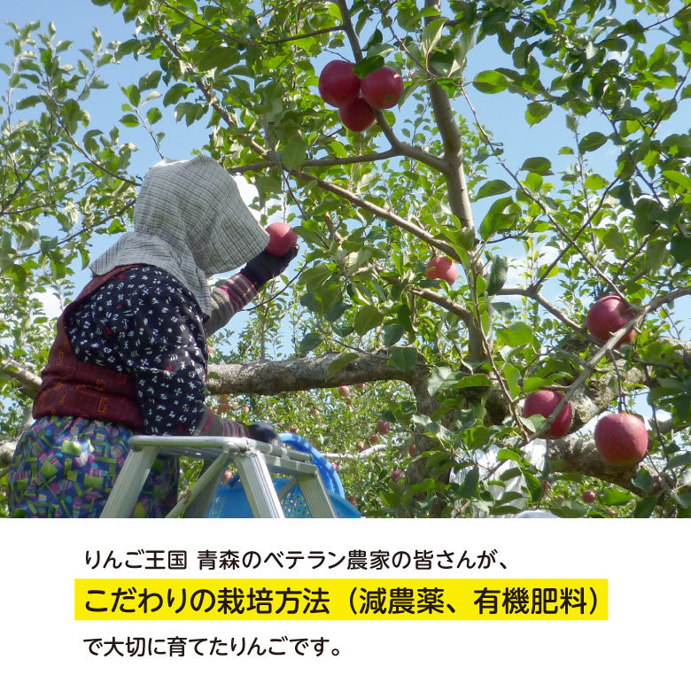 青森県産 りんごジュース WONDER APPLE おまかせ 6種詰め
