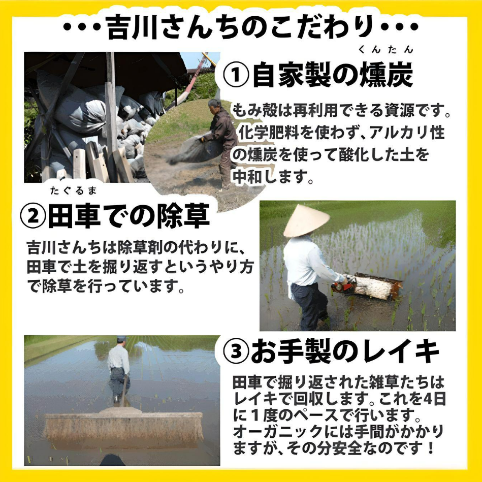 【農薬不使用・天日干し乾燥！】吉川さんちのコシヒカリ10kg　５年産米【送料込み】