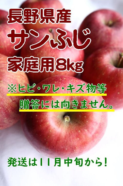 【販売期間外】信州産りんご　サンふじ8㎏【家庭用】（16～24玉）【フルーツ】※11月中旬から発送予定