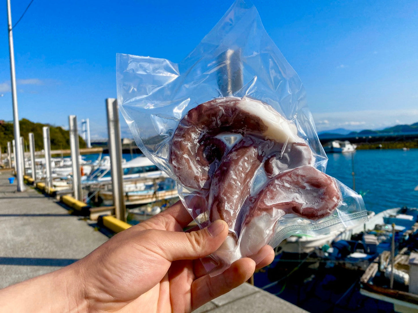 《お試し商品》瀬戸内海タコ足ボイル2本《簡易梱包でお届け★》