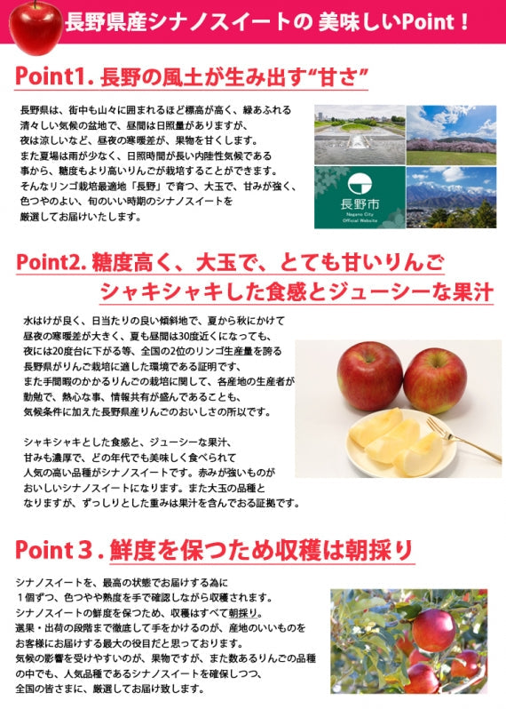 【売り切れ】【送料無料】長野県産シナノスイート 特秀品・3㎏前後（8～11玉）10月中旬から発送予定※北海道・九州追加送料200円、沖縄追加送料400円