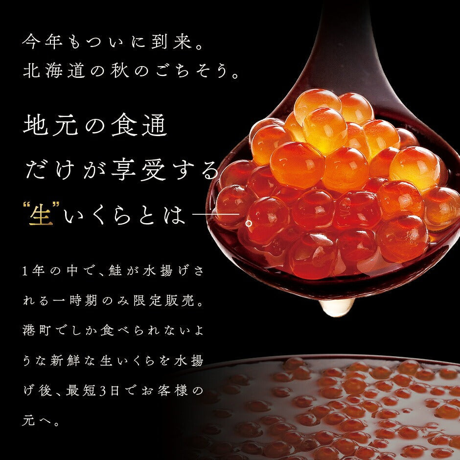 【水揚げ次第お届け】未冷凍 新物 生いくら 醤油漬け(秋鮭) 北海道 斜里産 皮までトロける上物