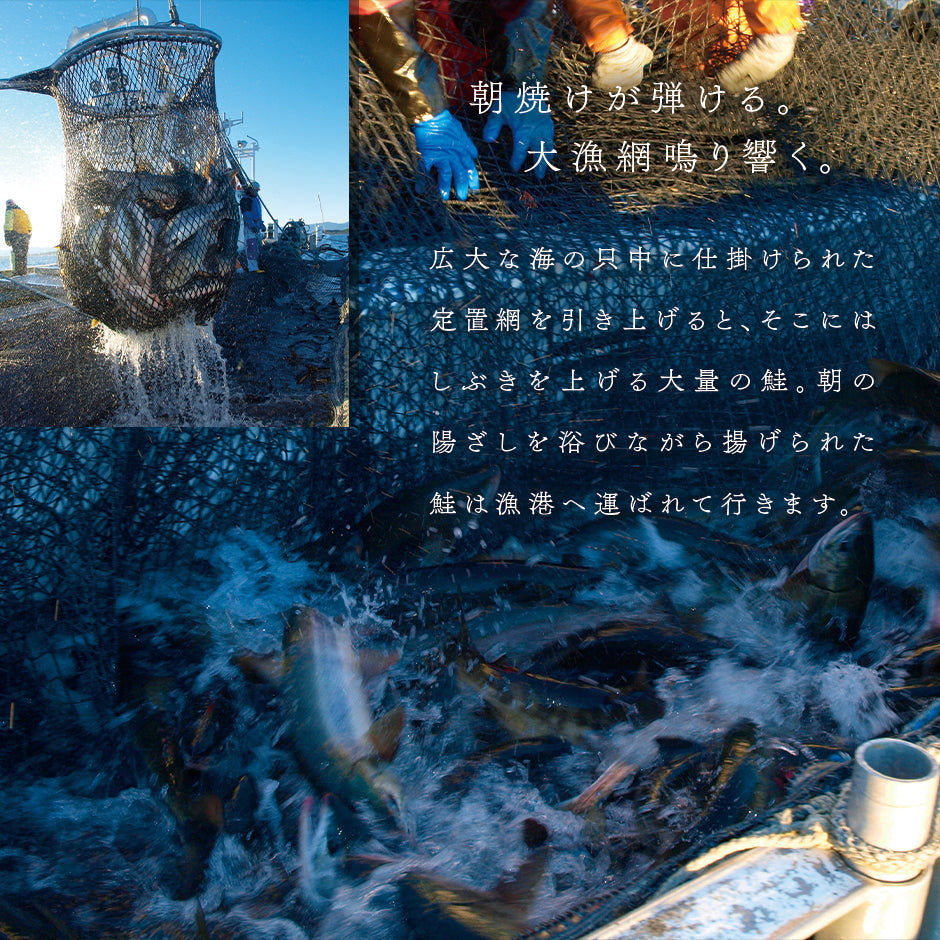 大粒 利尻昆布だし醤油 北海道産 鮭 イクラ醤油漬 150g【粒が大きい・しょっぱくない】