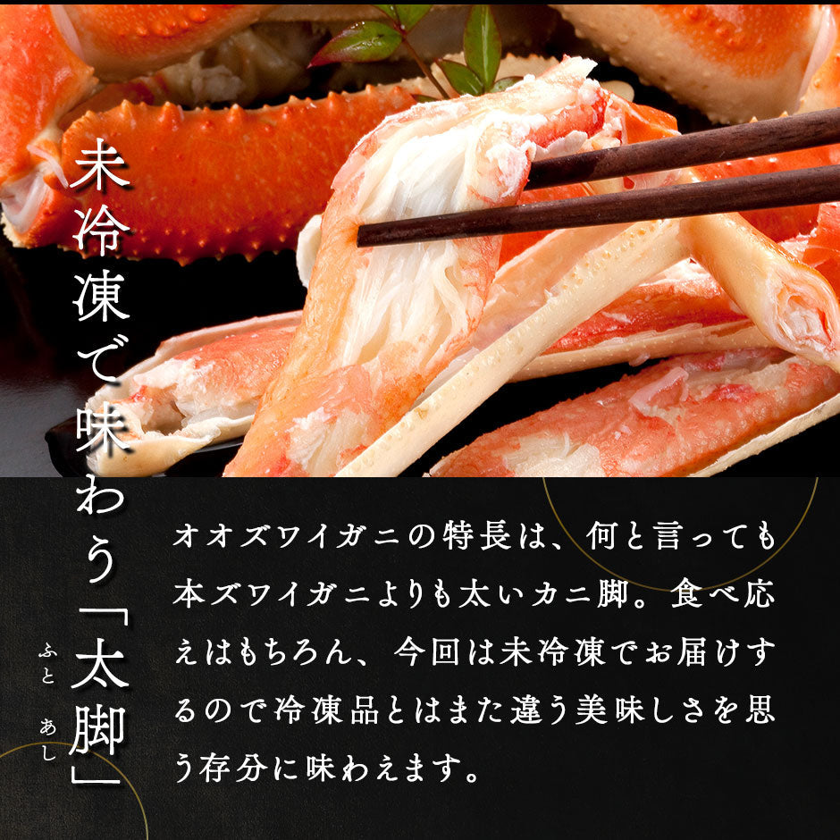 【3月22日～3月23日お届け】未冷凍 北海道産 ボイル済み オオズワイガニ 姿 480g【送料無料】