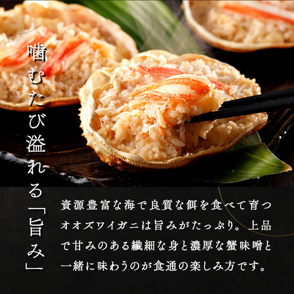 【3月22日～3月23日お届け】未冷凍 北海道産 ボイル済み オオズワイガニ 姿 480g【送料無料】