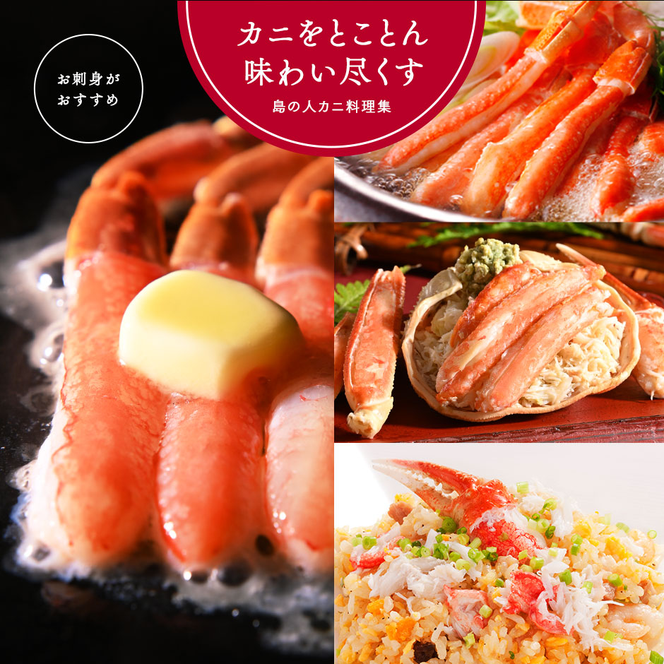【3月22日～3月23日お届け】未冷凍 北海道産 ボイル済み オオズワイガニ 姿 480g【送料無料】