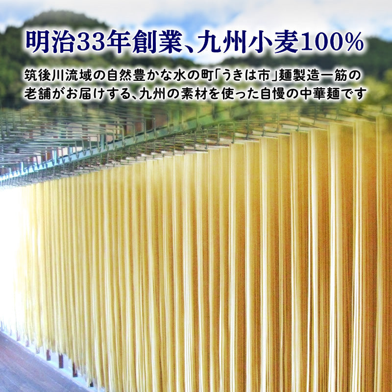 ちゃんぽん麺 230g (3～4人前) ×3袋 明治33年創業 麺一筋老舗こだわり【送料無料】【レトルト】【常温長期保存】＼1000円ポッキリ／