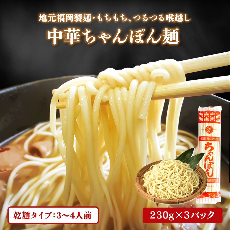 ちゃんぽん麺 230g (3～4人前) ×3袋 明治33年創業 麺一筋老舗こだわり【送料無料】【レトルト】【常温長期保存】＼1000円ポッキリ／
