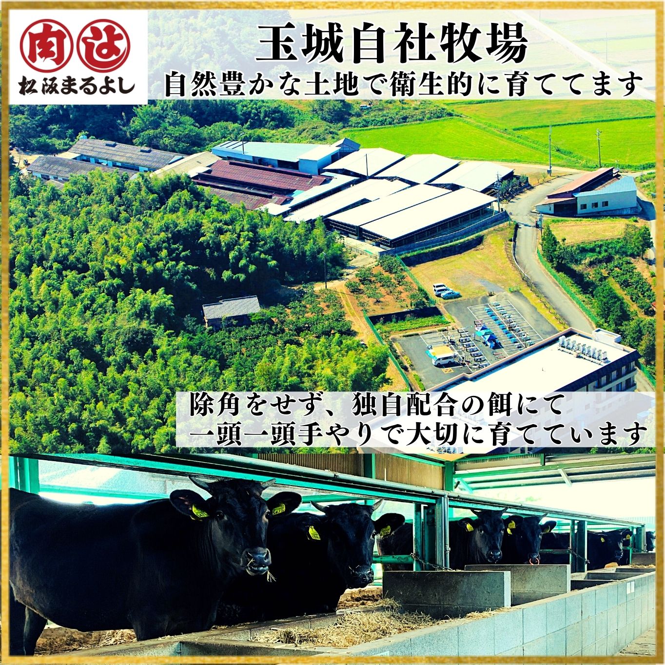 松阪牛 ローストビーフギフト（日本ギフト大賞2021　三重賞受賞商品）