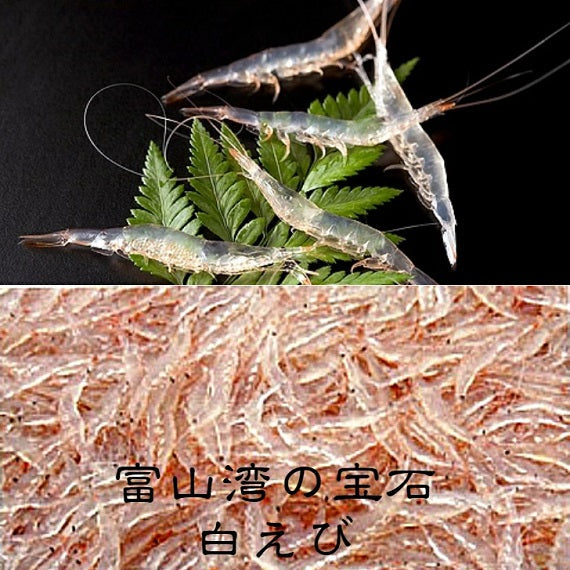 富山湾の宝石『白えび』の天ぷら 白えび　60ｇ　富山湾の宝石　キトキト！　調理済み　冷凍パック