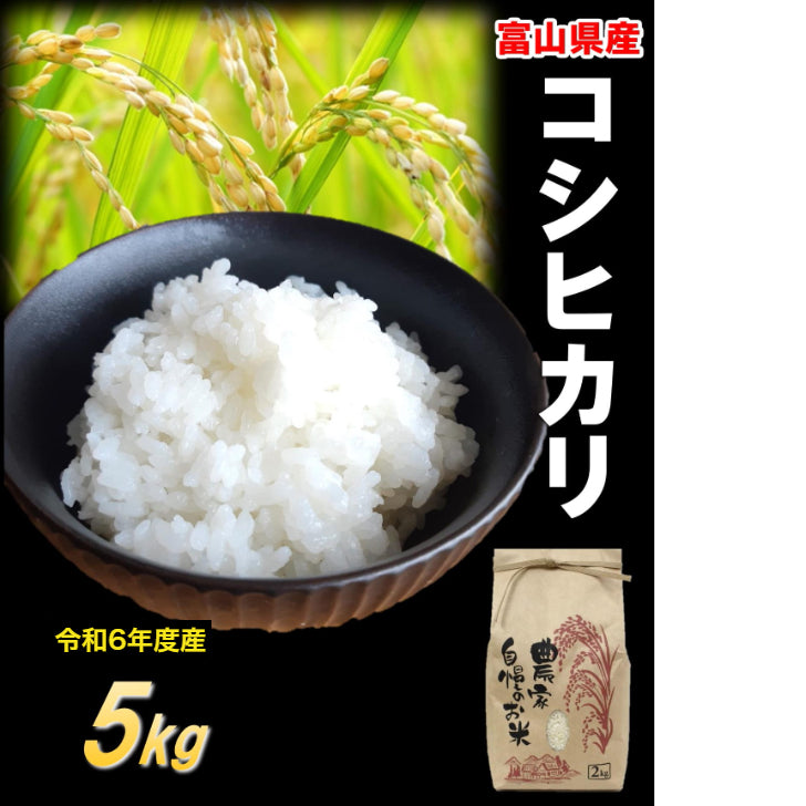 【令和6年産】富山県 黒部産こしひかり 5kg　精米
