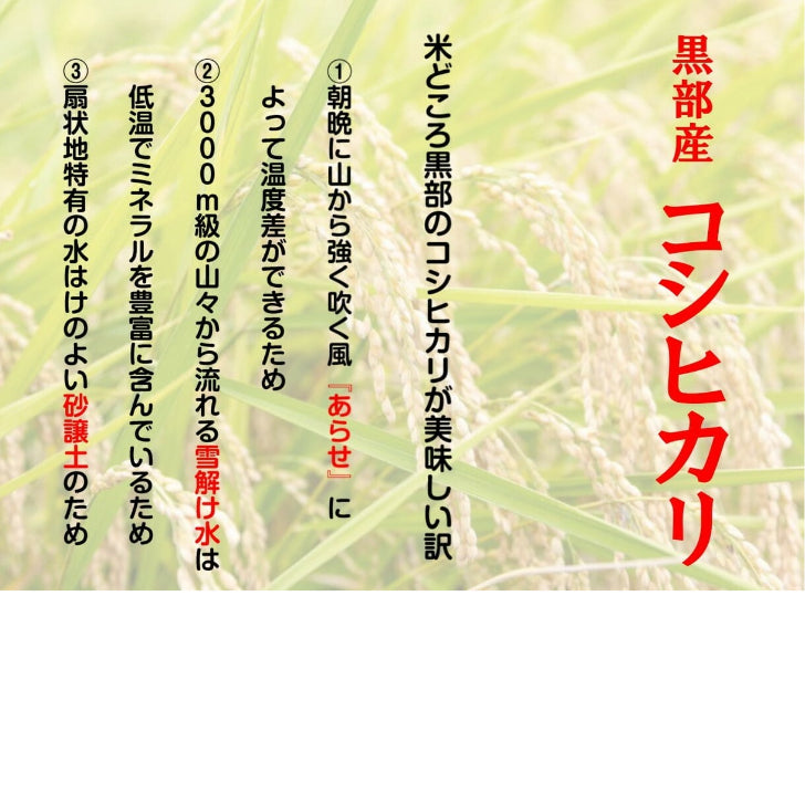 【令和6年産】富山県 黒部産こしひかり 5kg　精米