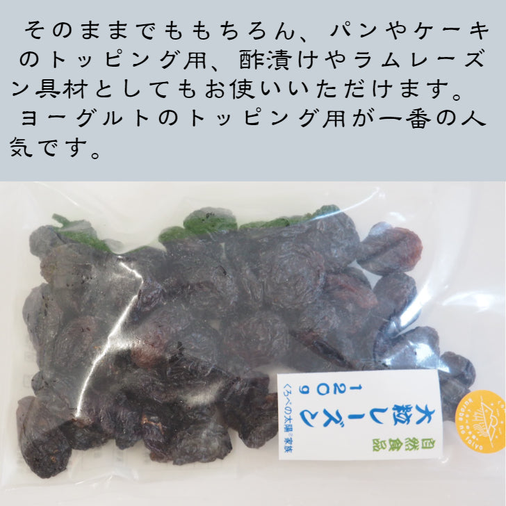 チリ産　大粒レーズン　120ｇ