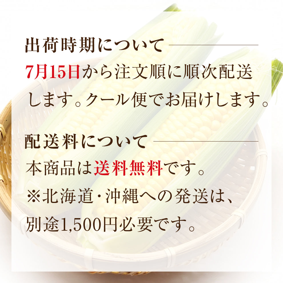 【ついに登場】メロン並みの甘さをもつとうもろこし｜大分県産 朝採れスイートコーン｜先着20セット限定！販売期間：7/12(土)23:59まで｜大分の道の駅で即日完売する世に出回らない逸品です！お中元、贈り物、子どもにも喜ばれる生で食べられるとうもろこしです！