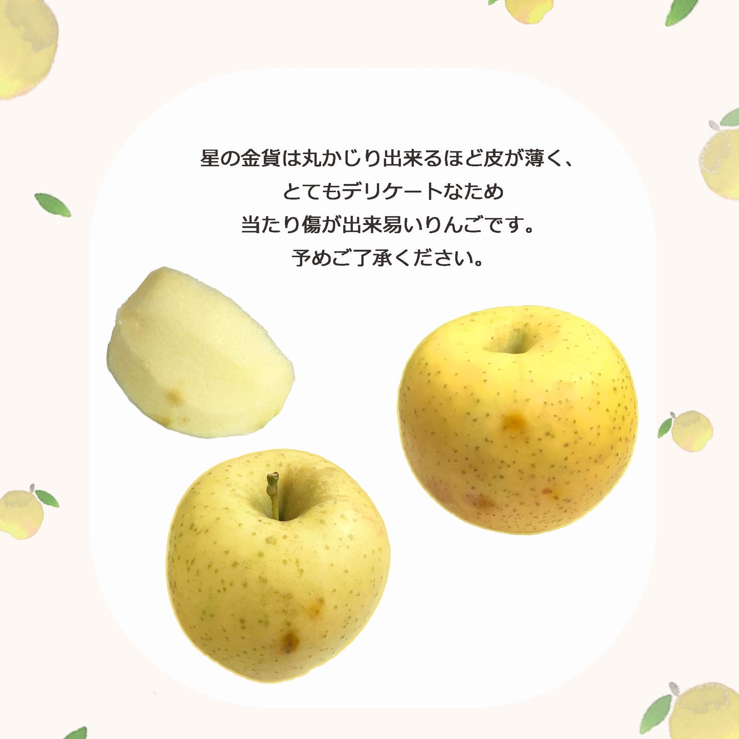 星の金貨りんご【送料込】【りんご】【青森県産】【タムラファーム2025】【葉っぱとらじろう】【期間限定】