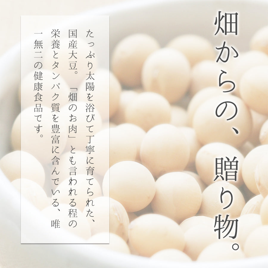 大豆カレー  180g×3パック 【送料無料】【レトルト】【常温長期保存】