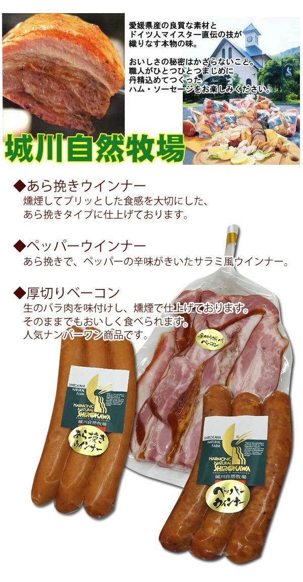 【送料無料】父の日ギフト  道後クラフトビール 5本 ＆ 城川自然牧場 ウィンナーセット DBSH-2 [クール便]