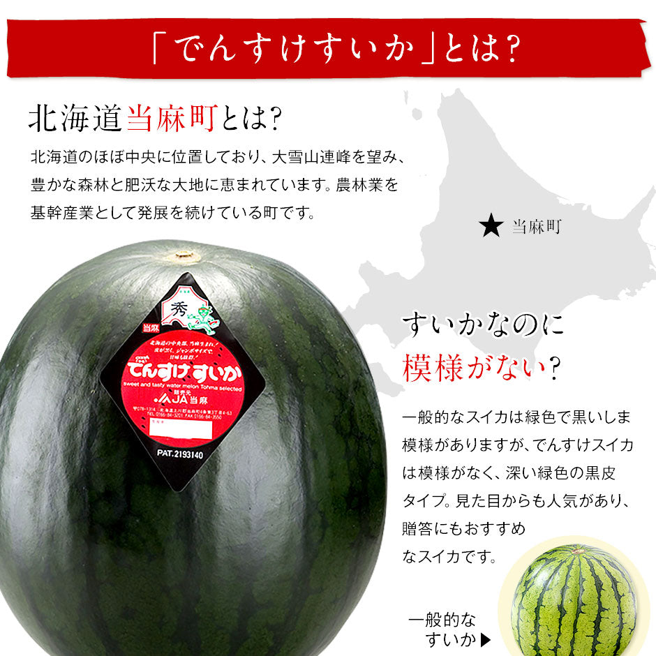【贈答向け 共撰優品】スイカ でんすけすいか 北海道 当麻産 L　1玉【送料無料】【産地直送】  すいか 西瓜 お土産 グルメ ギフト 食品 景品 贈り物 お土産 お取り寄せ 暑中見舞い 残暑見舞い デンスケスイカ【フルーツ】