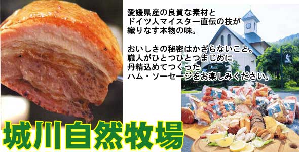 【送料無料】城川自然牧場  特選ギフトセット [クール便]
