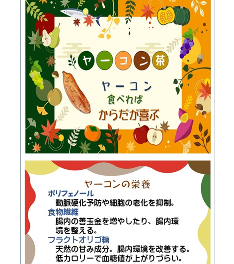 『お試しセット』　腸の活性には【酪酸菌】健康のため毎日　飲む食べる　菊芋お茶、菊芋パウダー　　ヤーコンお茶　ヤコンー　パウダー　　