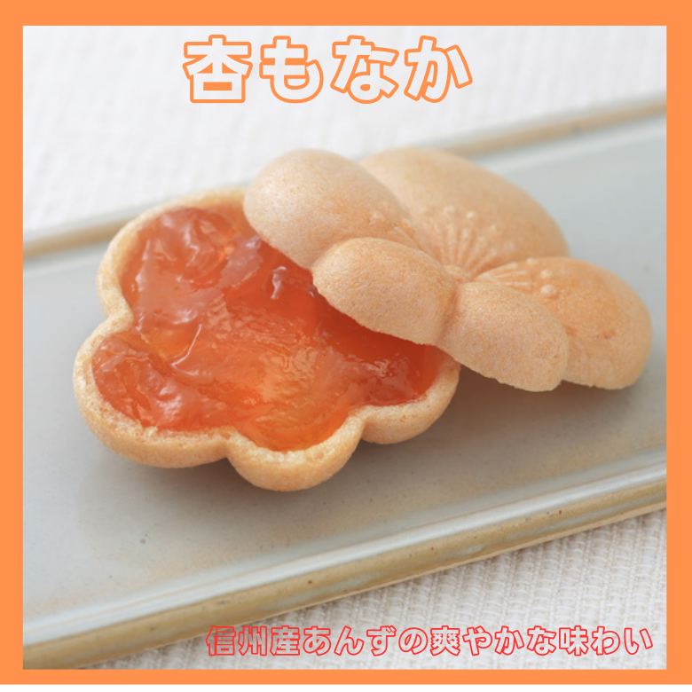 ●【１１月限定10セットのみ・送料無料・４７クラブ限定】【あんず紅茶・プレーン杏・杏もなか】【杏花堂人気３種セット】あんず紅茶１０ｐ★信州産あんずのドライフルーツ・プレーン杏（あま杏）１００ｇ★杏もなか３個入れ【送料無料＊沖縄のみ別途】