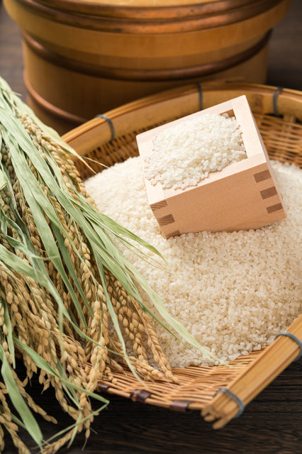 【訳あり令和6年産】ゆめぴりか15kg