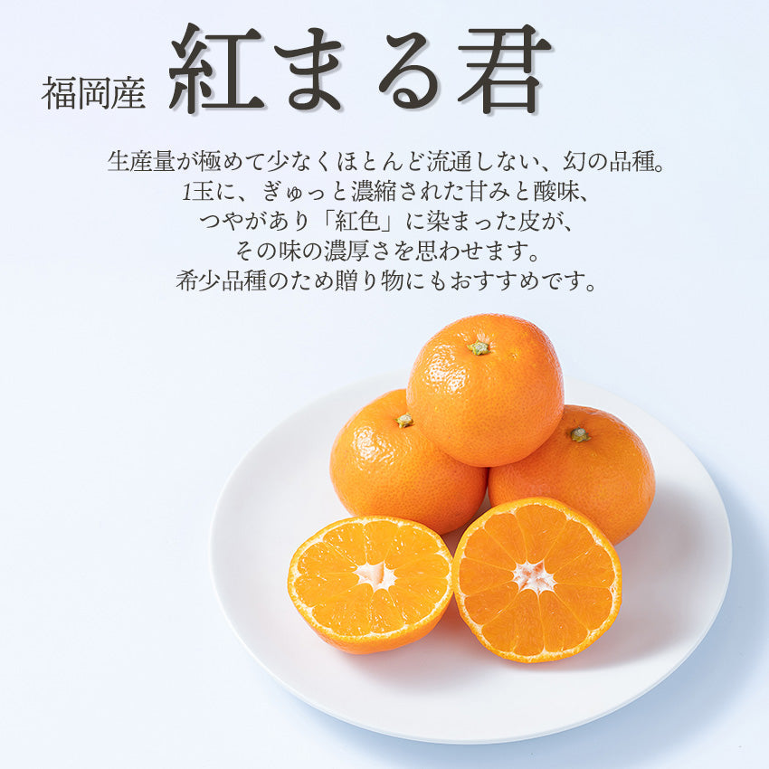 【予約販売】旬のフルーツセットF29（あまおう・紅まる君）