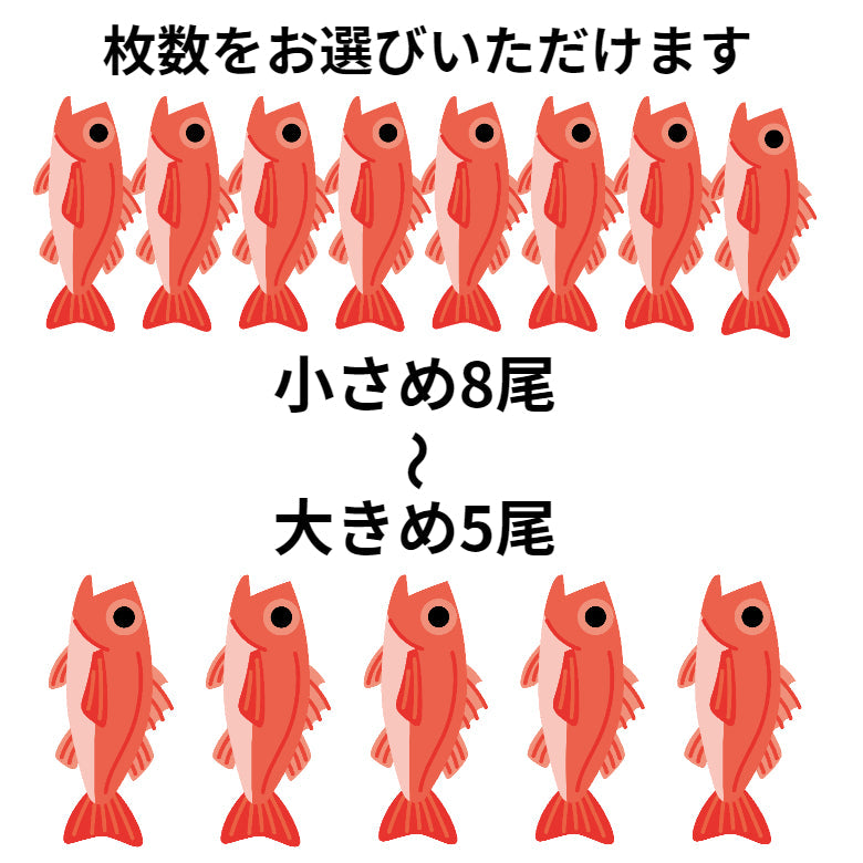 みんな大好き　のどぐろ一夜干しセット（5～8枚入り）