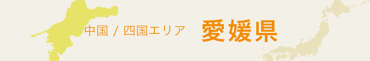 愛媛県