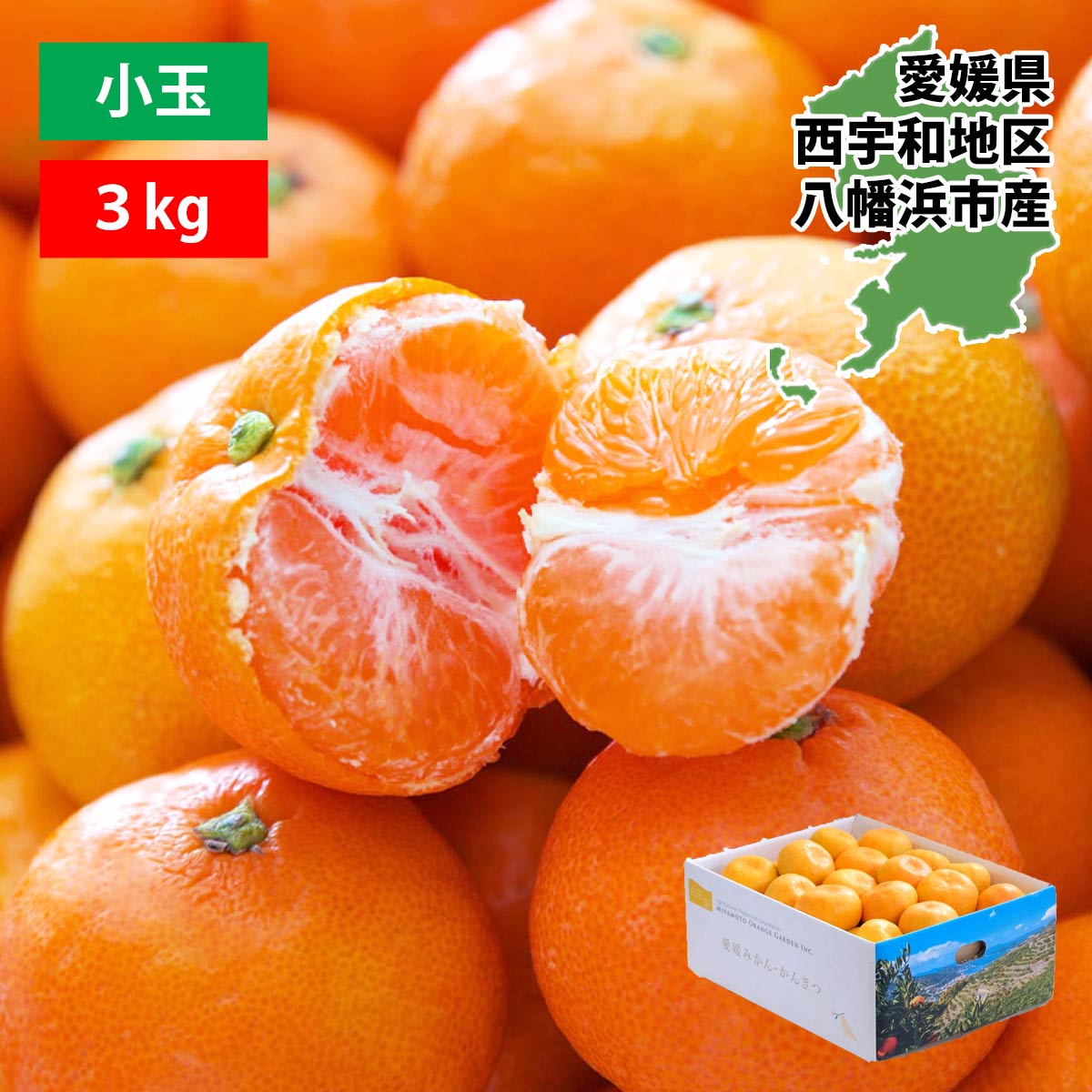 愛媛みかん 訳あり 小玉 3S～Sサイズ