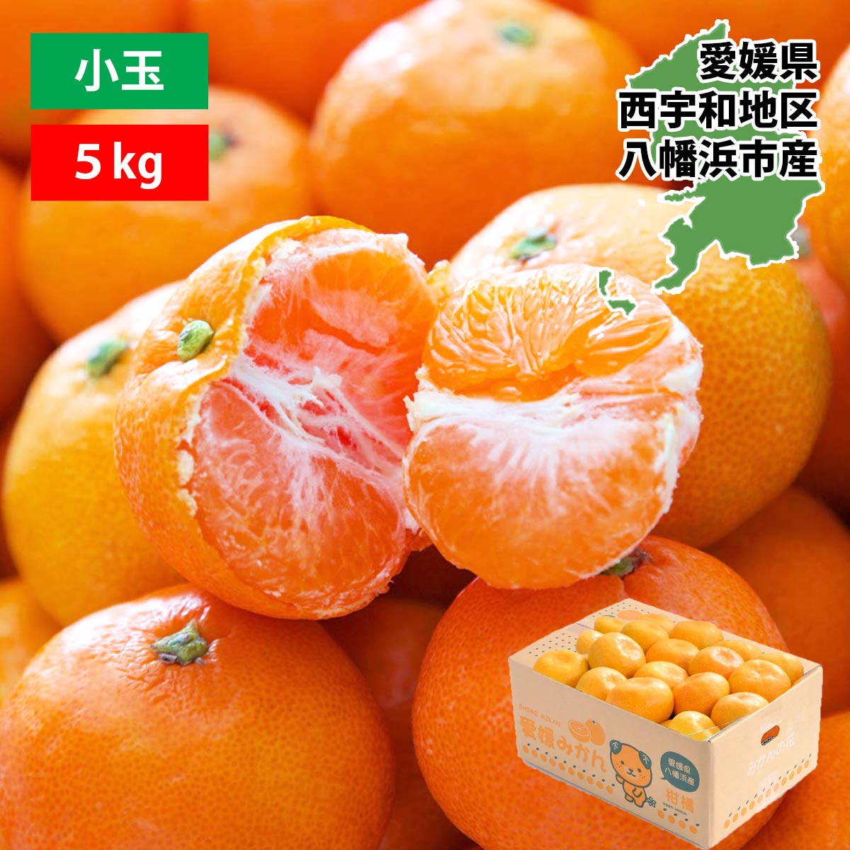 愛媛みかん 訳あり 小玉 3S～Sサイズ