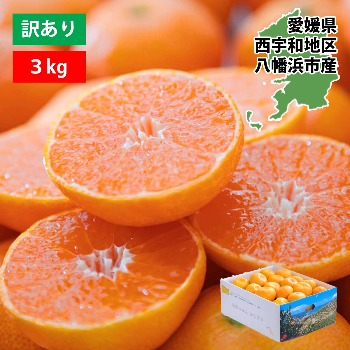 甘みと酸味のバランスが絶妙！ブランド産地の愛媛みかん