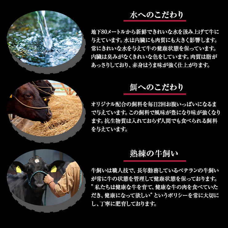 ギフト 贈り物 挽肉 挽き肉 ミンチ 1kg 九州産 宮崎県産 黒毛和牛 EMO牛（有田牛/エモー牛） 冷凍食品 おかず お取り寄せグルメ 国産 九州産 ホルモン剤不使用 抗生物質不使用 遺伝子組換え飼料不使用 ホルモンフリー高級 牛肉