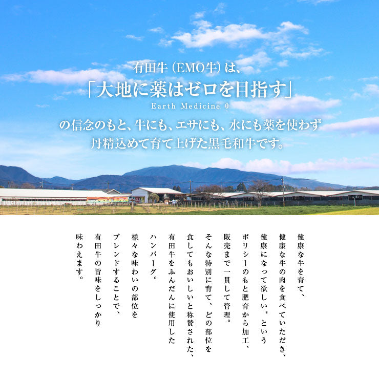 ギフト 贈り物 食べ物 送料無料 セット 食品 食べ物 お肉 黒毛和牛 EMO牛（有田牛） エモー牛 てごね ハンバーグ 100ｇ×10 グルメ  酒卵不使用 焼き温めるだけ ホルモン剤不使用 抗生物質不使用 遺伝子組換え飼料不使用 ホルモンフリー