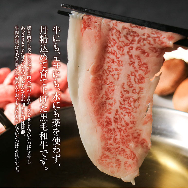 ギフト 贈り物 しゃぶしゃぶ用 鍋 ローススライス 500ｇ 宮崎県産 黒毛和牛 EMO牛（有田牛/エモー牛） 冷凍食品 おかず お取り寄せグルメ  国産 九州産 ホルモン剤不使用 抗生物質不使用 遺伝子組換え飼料不使用 ホルモンフリー高級 牛肉
