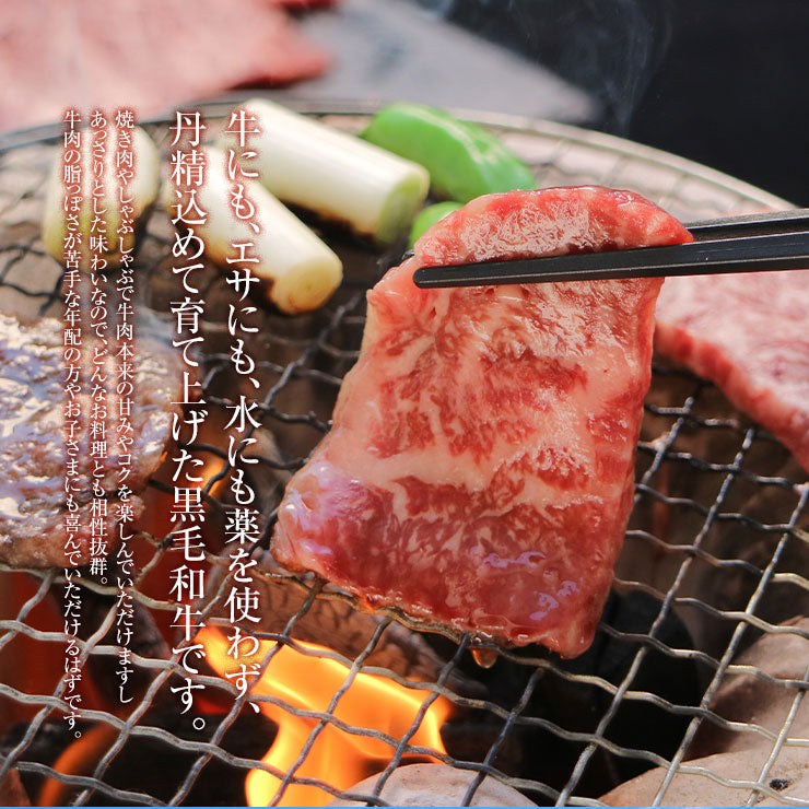 ギフト 贈り物 焼肉用(やきにく/焼き肉焼き肉セット) ロース1000ｇ 宮崎県産 黒毛和牛 EMO牛（有田牛） 冷凍食品 おかず お取り寄せグルメ  冷凍食品  ホルモン剤不使用 抗生物質不使用 遺伝子組換え飼料不使用 ホルモンフリー 高級 牛肉