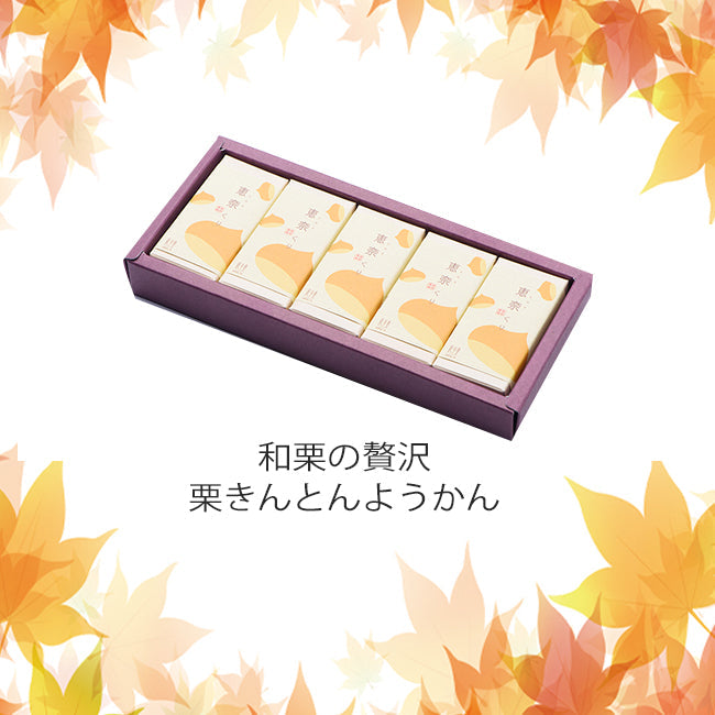 栗きんとんようかん 恵奈くり5個入