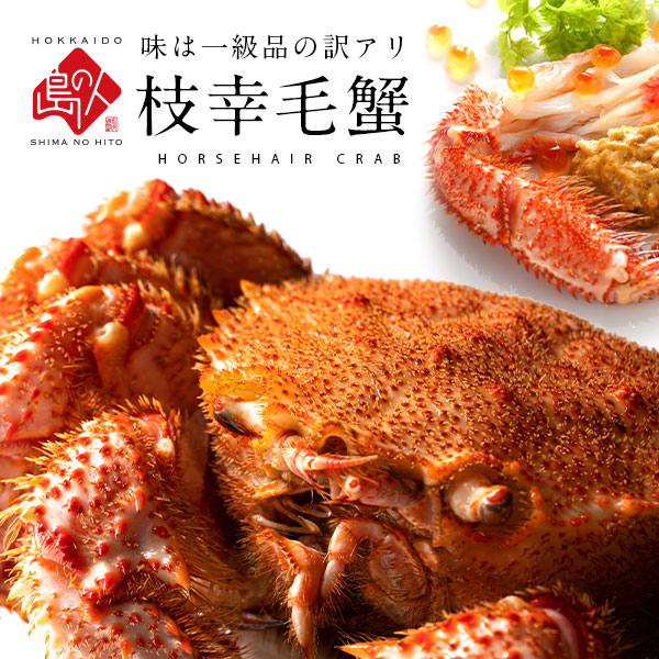 【キズ有・ご自宅品】かに 北海道 枝幸産 毛蟹【送料無料】 お取り寄せグルメ