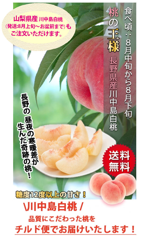 【販売期間外】【送料無料】川中島白桃(桃) ※山梨県産は８月上旬、長野県産は8月中旬（お盆明け）より順次発送※期日指定不可【お中元2025】【フルーツ】