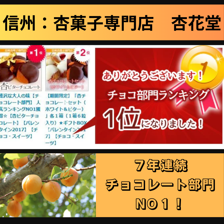 【11月～3月期間限定】フルーツ洋菓子部門★チョコレート部門★人気ランキング1位獲得！【杏専門店が作る大人の杏ビターチョコレート】【スイーツ】