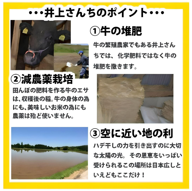 【充足感抜群 天空圃場の仁多米！】井上さんちのコシヒカリ５kg ７年産新米【送料込み】
