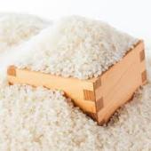 【訳あり令和6年産】ゆめぴりか15kg