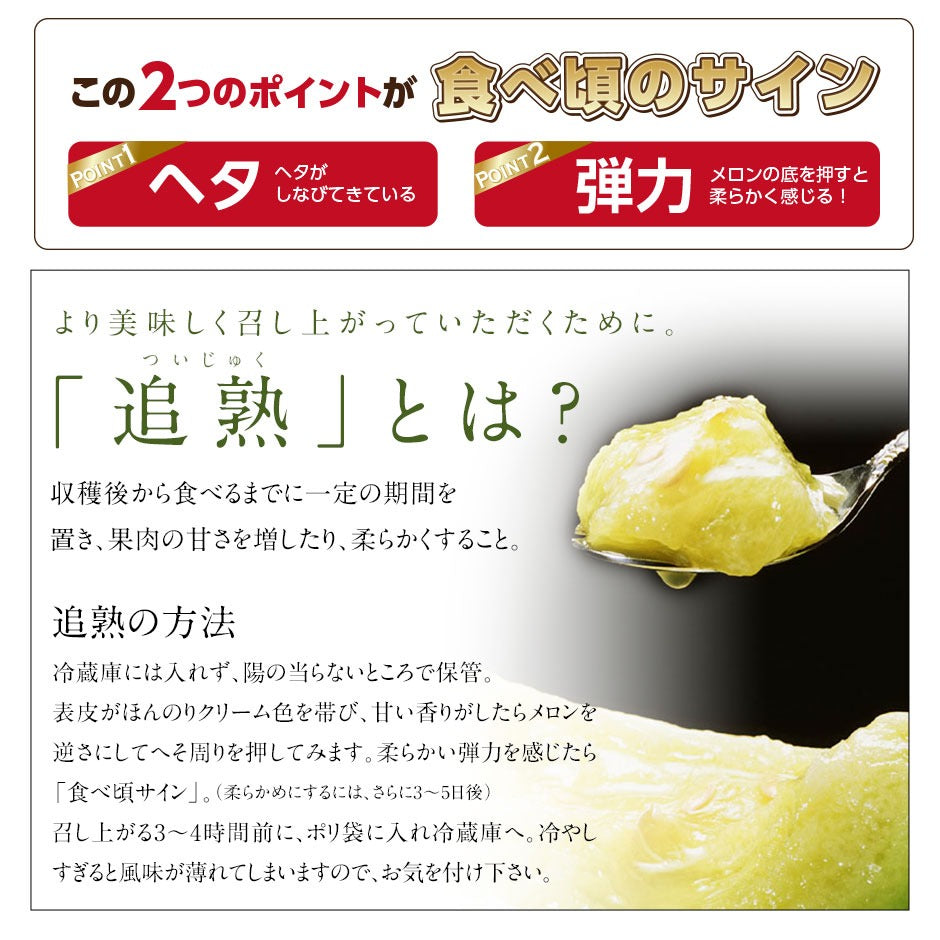 予約開始　夏ギフト 富良野 青肉 メロン 送料無料 北海道 産地直送 フルーツ 果物【農作物】【島の人】【お取り寄せグルメ】御中元 お取り寄せグルメ ギフト 食べ物 食品 ふらの グルメ