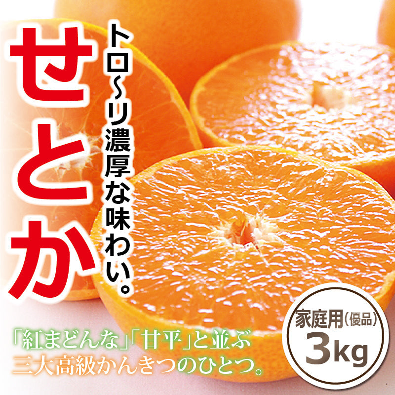 ※今季販売終了※【送料無料】高級ブランドかんきつ「せとか」〈家庭用・優品〉約3kg　※発送は２月中旬～３月中旬予定