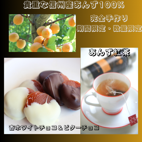 【期間限定11月～3月販売】【杏専門店が作る大人の杏チョコレート】（ホワイト＆ビター）各１箱（１箱６粒入り）あんず紅茶5ｐ★ギフトBOX【スイーツ】