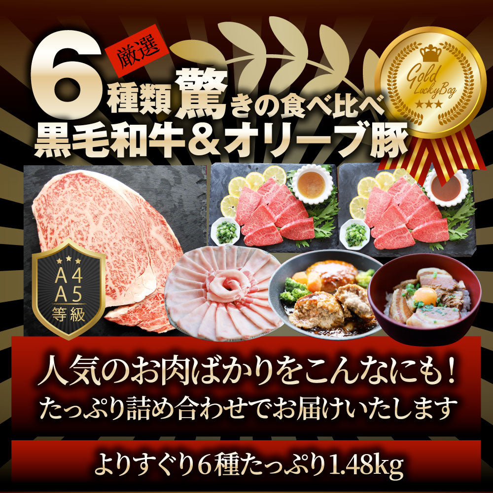 肉の福袋 ゴールド メガ盛り A4,A5等級 黒毛和牛入り 総重量1.48kg（ 6種 食べ比べ ）完全赤字の肉袋！人気のお肉ばかりの豪華セット 福袋